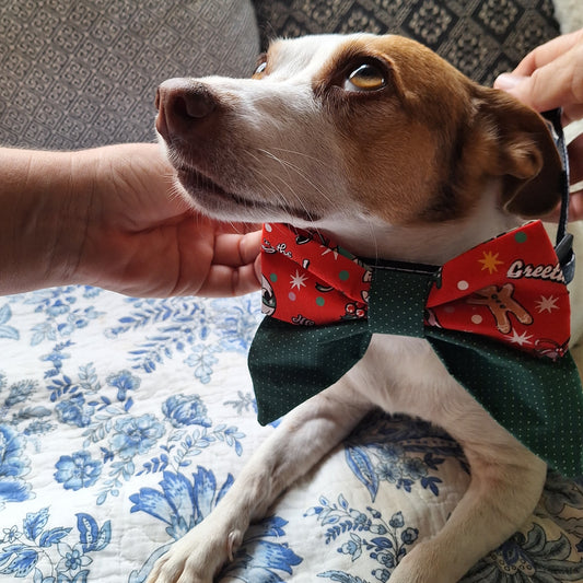 Seasons Greetings Bow
