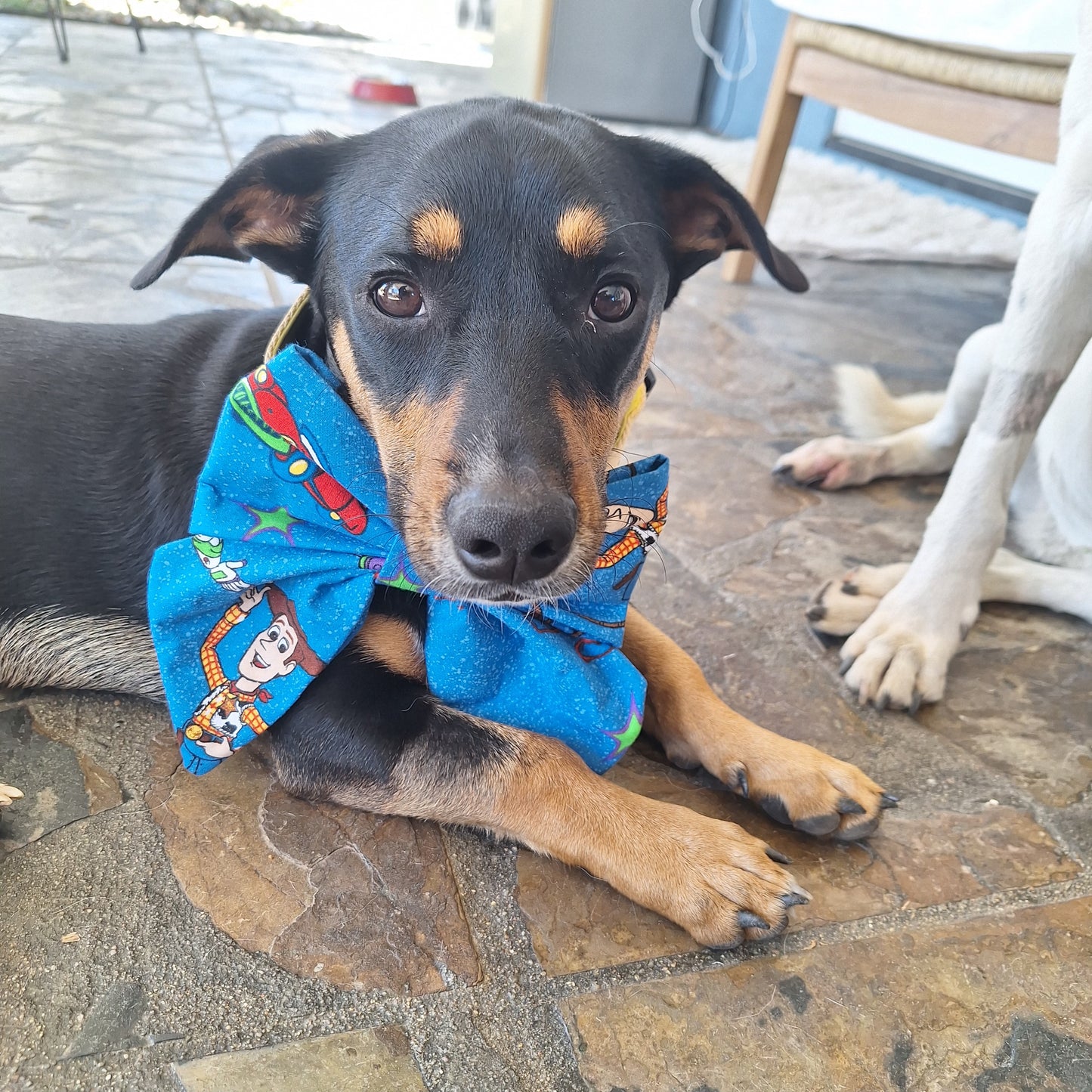 Toy Story Sailor Bow