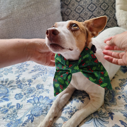 Deck the Howls Holly Bow