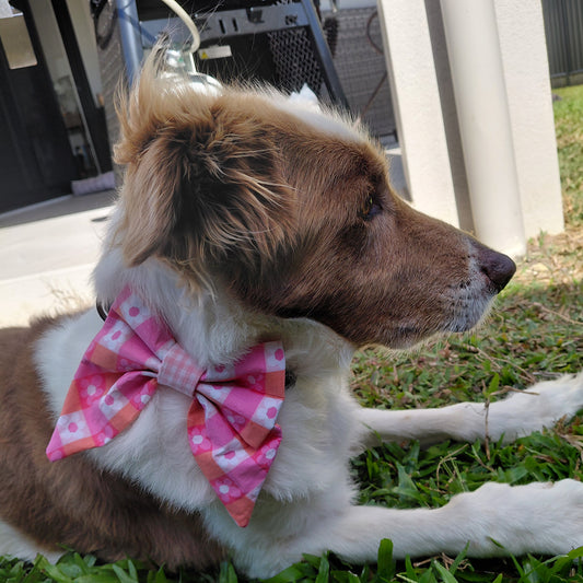 The Picnic Petal Bow