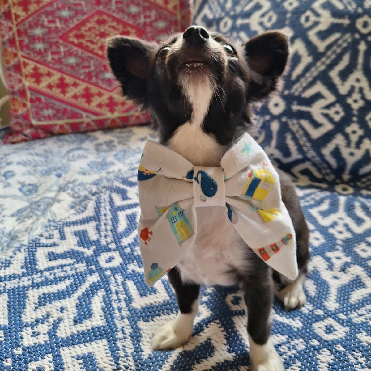The Sandy Paws Beach Hut Bowtie