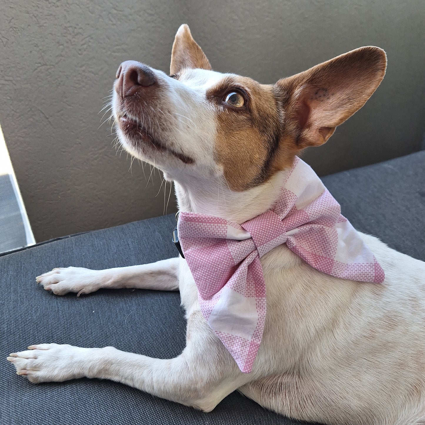 Sassy Checks Sailor Bow