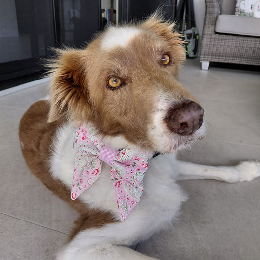 Blush Paisley Sailor Bow