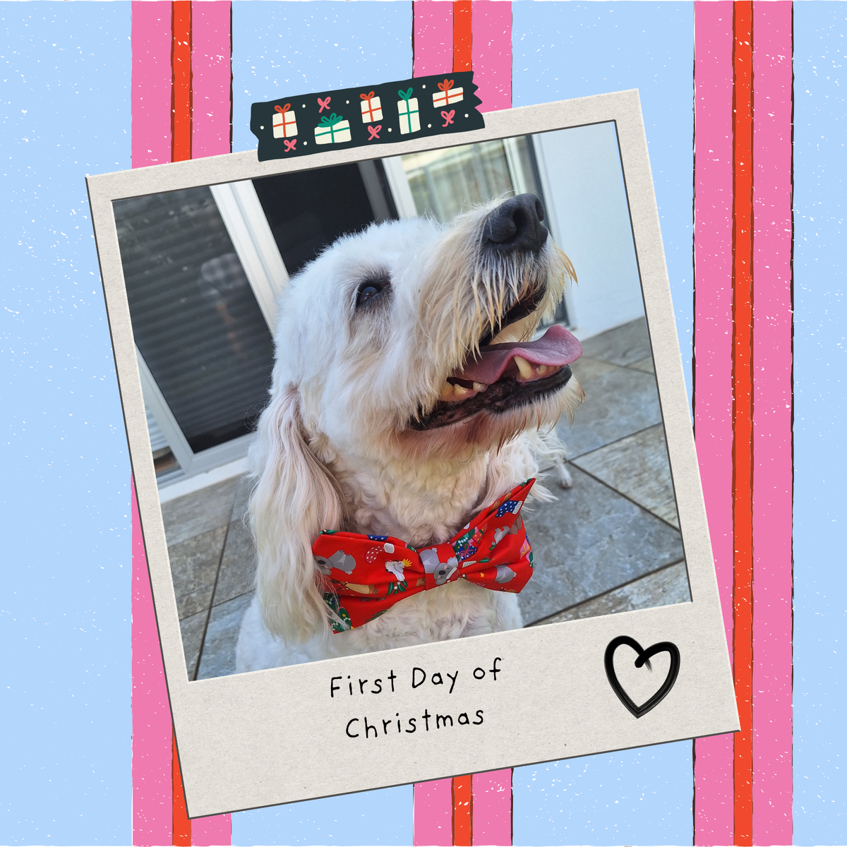First Day of Christmas Bowtie