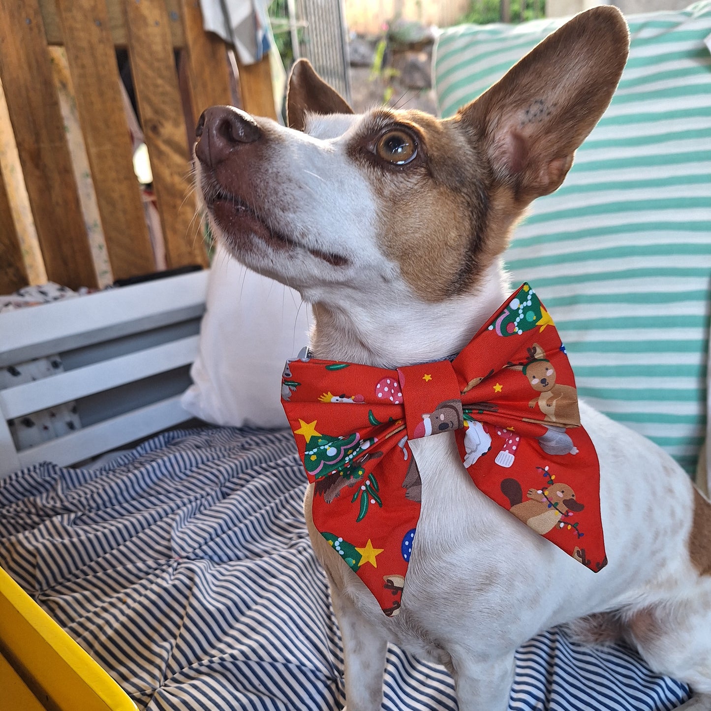 Aussie Christmas Sailor Bow