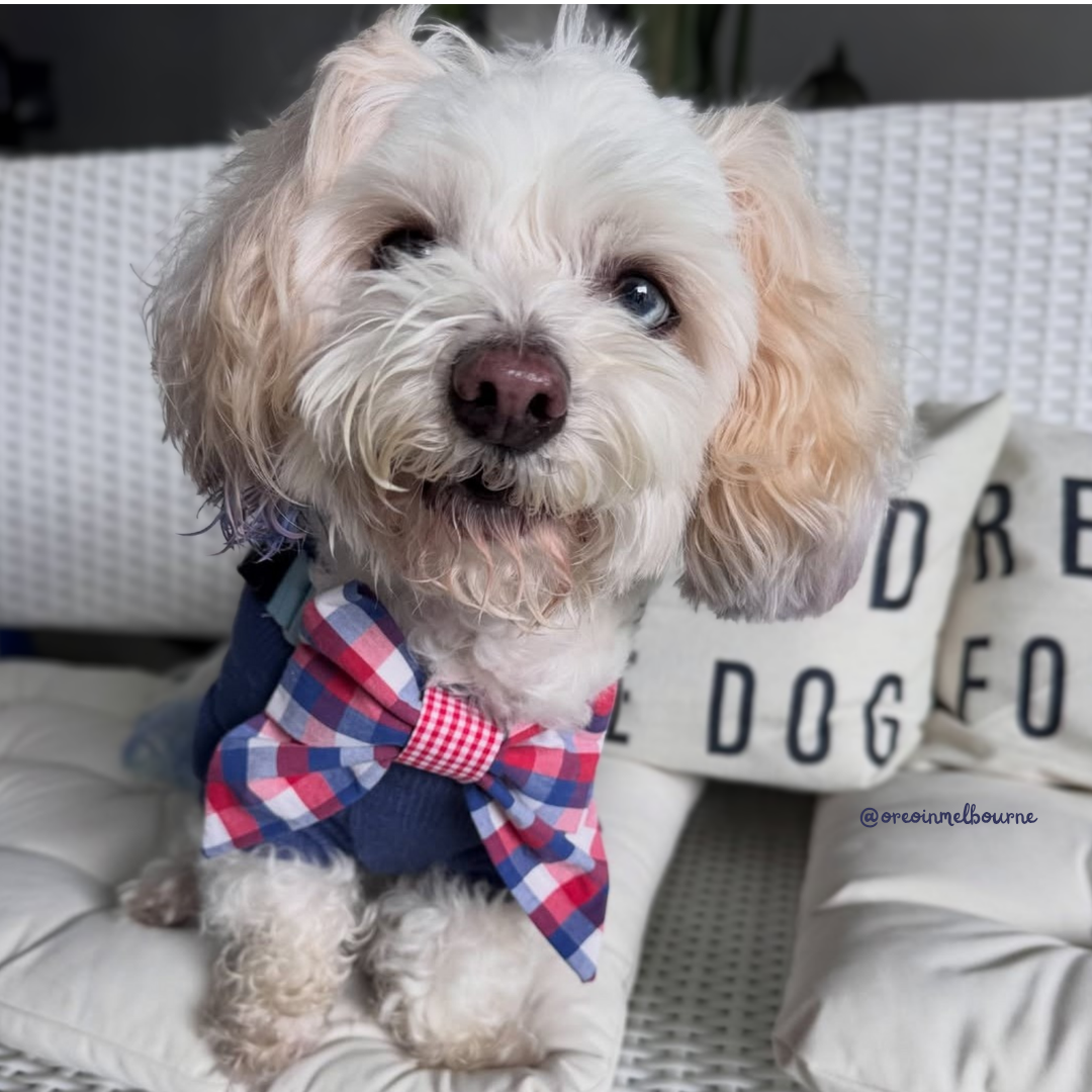 The Melbourne Plaid Sailor Bow