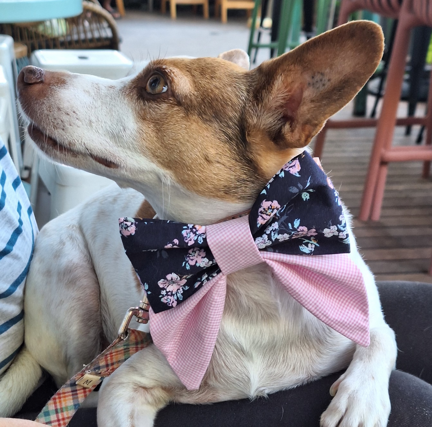 Flowers & Gingham Duo Bow