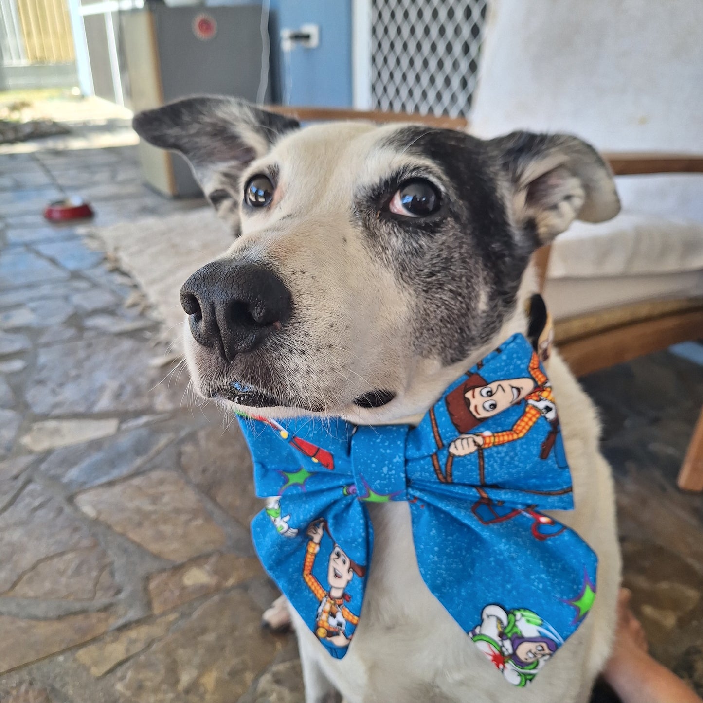 Toy Story Sailor Bow