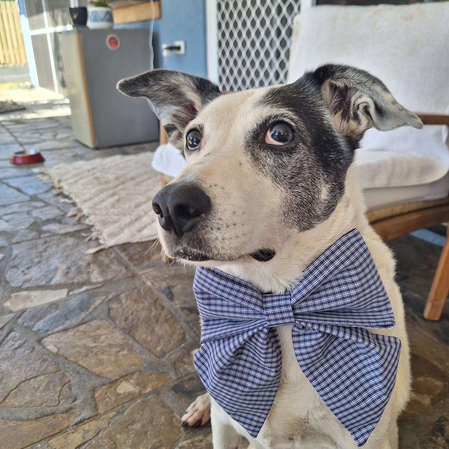 The Boss Sailor Bow