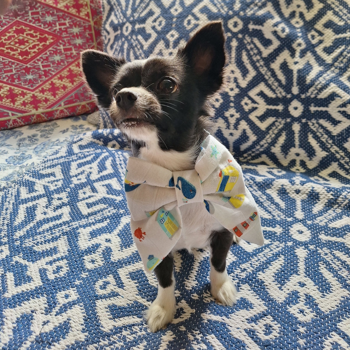 The Sandy Paws Beach Hut Bowtie
