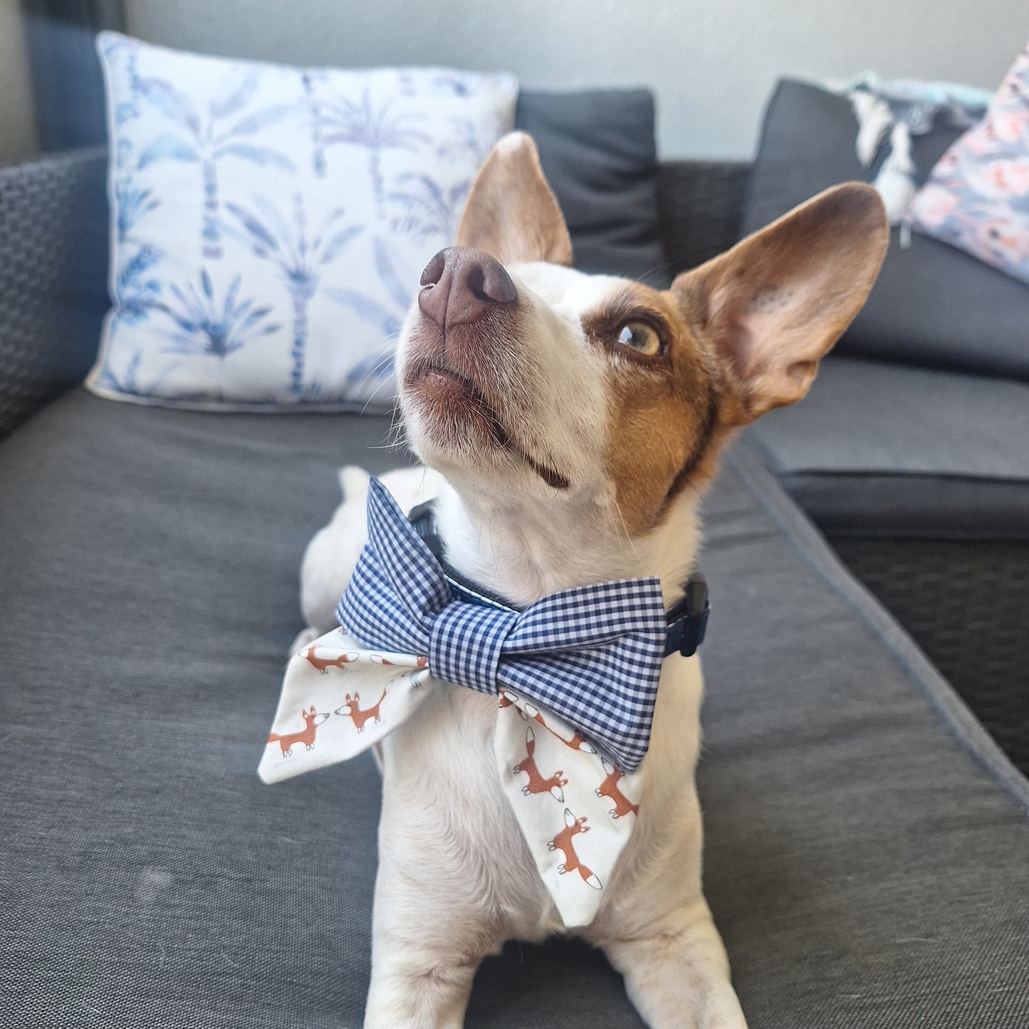 The Fox Sailor Bow