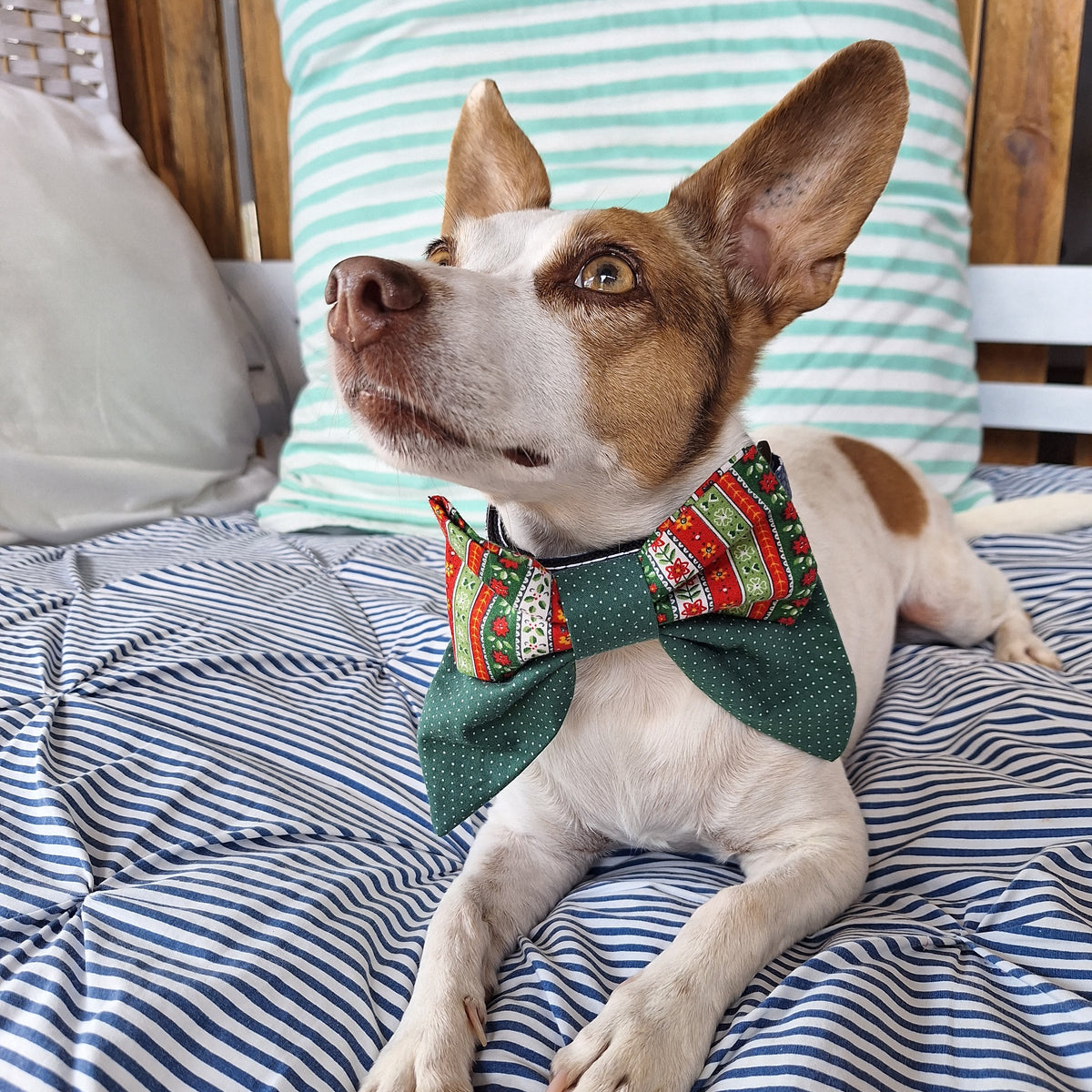 Pine and Peppermint Holiday Bow