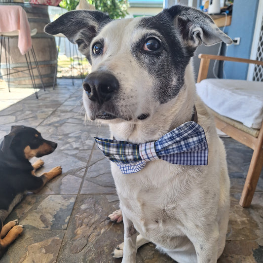 Bestie Bow