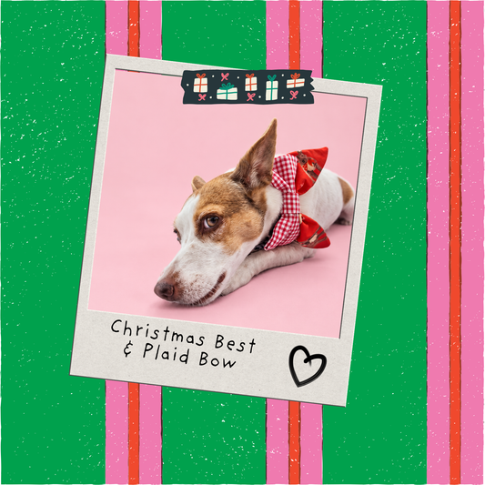 Christmas Best & Plaid Bow