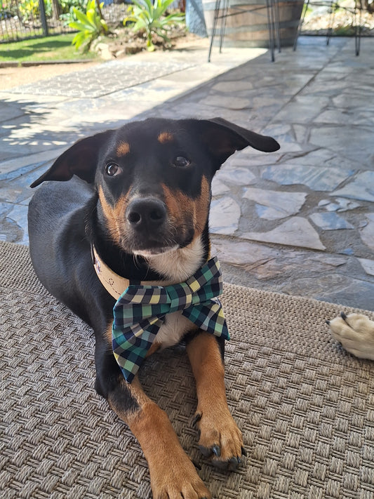 Winters Day Plaid Sailor Bow
