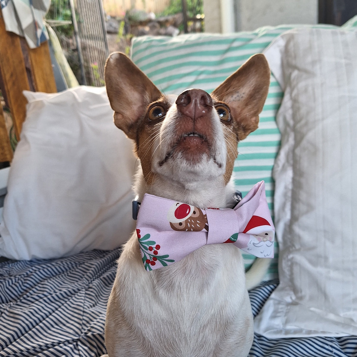 Up Past Bedtime Bowtie