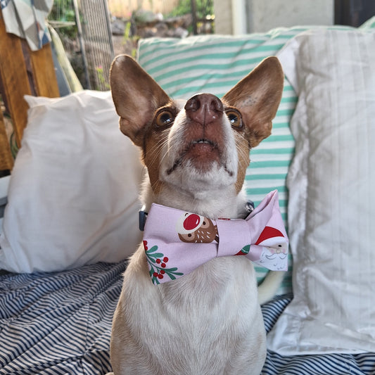 Up Past Bedtime Bowtie