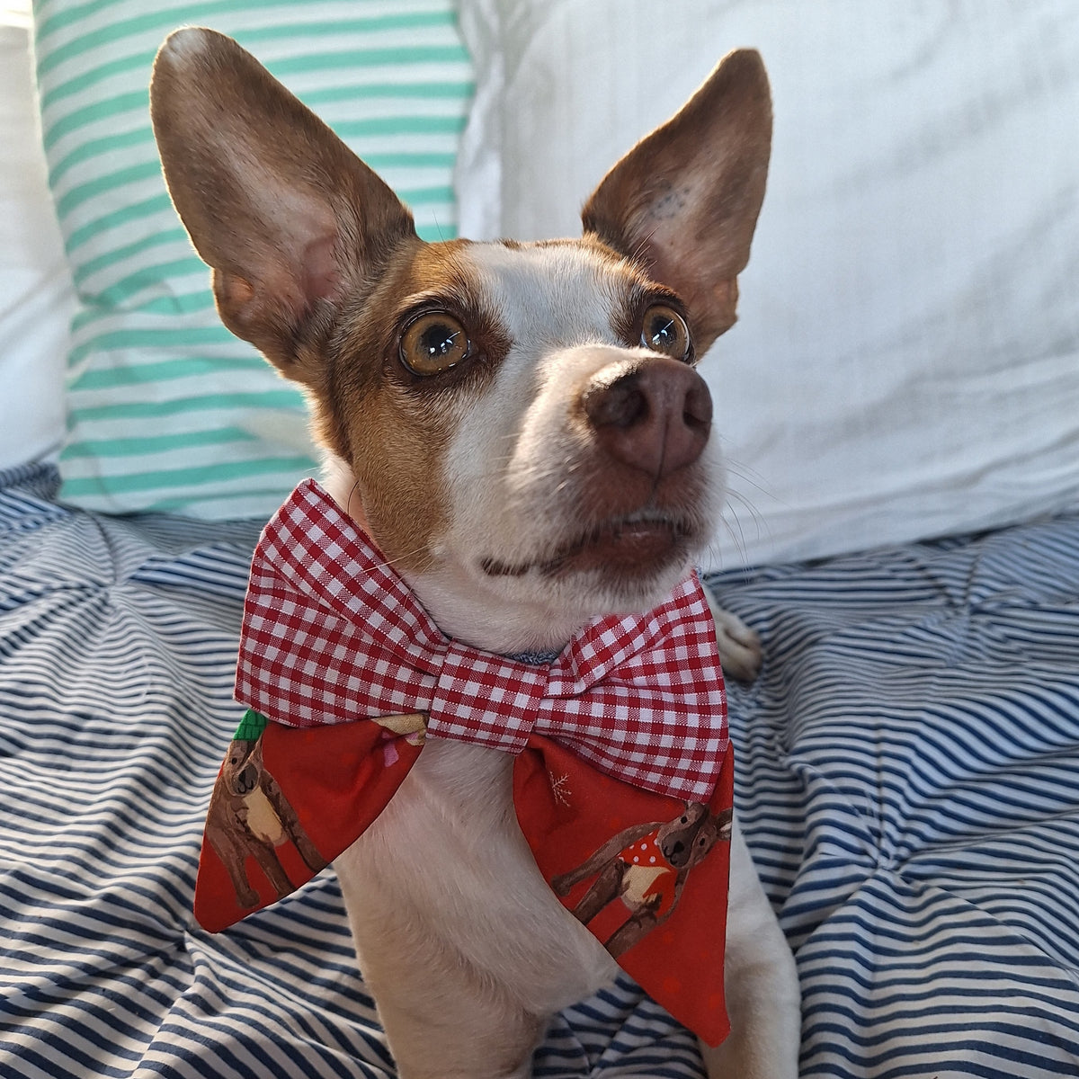 Christmas Best & Plaid Bow