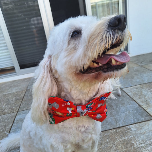 Bush Christmas Bow